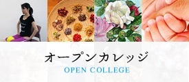 OPEN COLLEGE